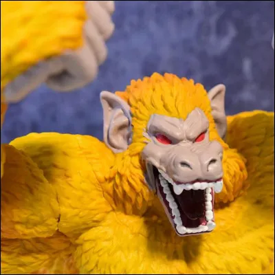 Comment se nomme cette transformation ?