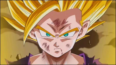 Comment se nomme cette transformation ?