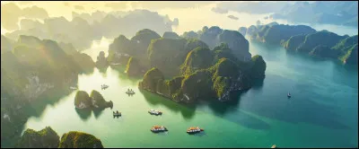 Quel est l'indicatif téléphonique du Vietnam ?