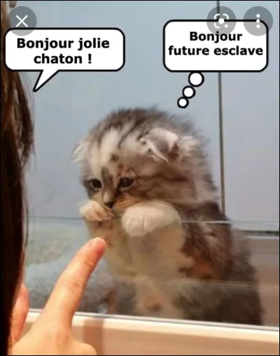 Tu préférerais un décor :