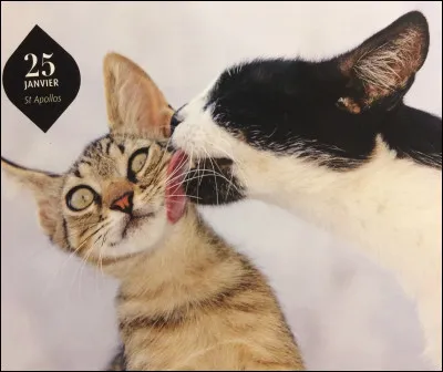 Souhaiterais-tu un paysage autour de toi ?