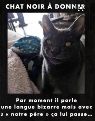 Et enfin, tu voudrais que limage soit :