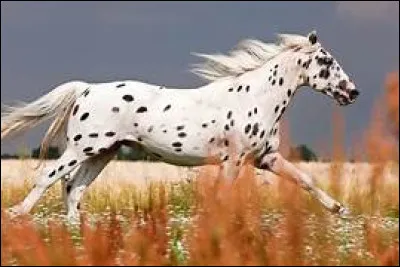 Comment faire à l'extérieur en terrain varié ?