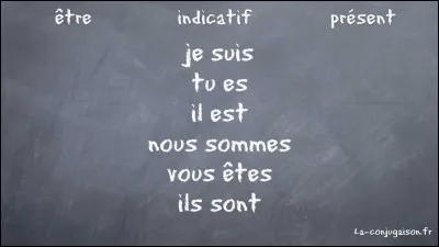 Maintenant, quelle est la conjugaison correcte du verbe ''ser'' signifiant ''être'' à la première personne du singulier (je) ?