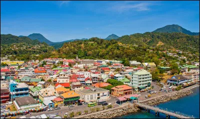 Quel animal, qui figure sur son drapeau, est l'emblème de la Dominique ?