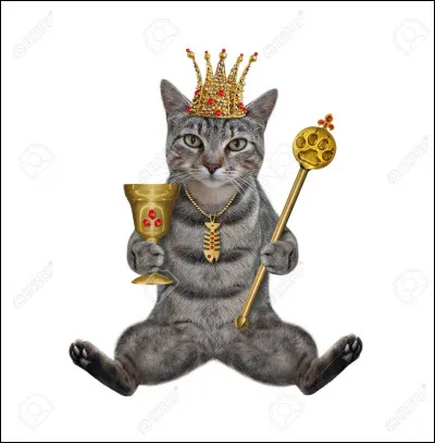 Dans lequel de ces pays le chat était-il vénéré ?