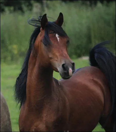Alors &ccedil;a, c'est certainement un...