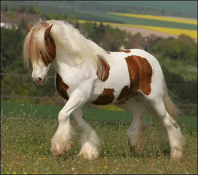 Et celle-ci, saurez-vous me la reconna&icirc;tre ?