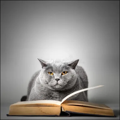 Qui a écrit le roman "Le Chat" ?