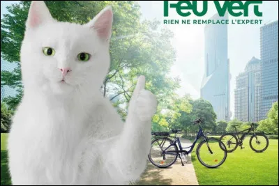 Comment se nommait le chat qui faisait la publicité pour "Feu Vert" ?