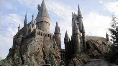 Littérature : Lequel de ces personnages n'est pas un professeur de l'école de Poudlard dans la saga Harry Potter ?