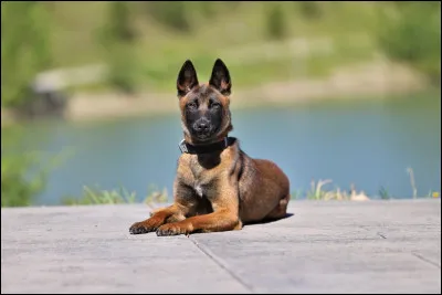 Et celle-ci, comment s'appelle-t-elle ?