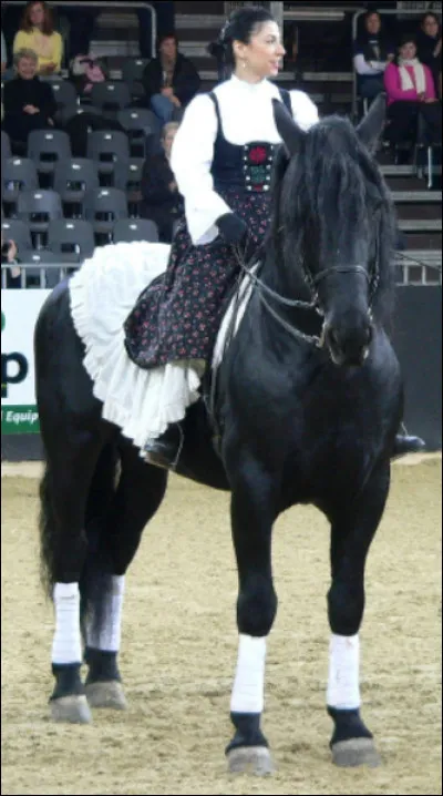 Et ce splendide cheval quelle est sa race ?