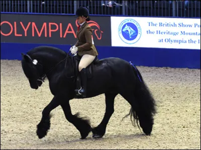 Et elle, quelle est cette race ?