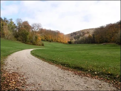 Littérature : Quel poète est l'auteur de ces vers : " Mon coeur, lassé de tout, même de l'espérance, N'ira plus de ses voeux importuner le sort; Prêtez-moi seulement, vallon de mon enfance, Un asile d'un jour pour attendre la mort" ?