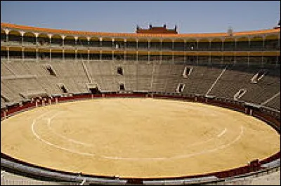 Comment s'appelle dans le monde de la tauromachie la piste couverte de sable dans une arène ?