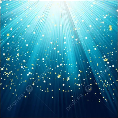 Tu te retournes afin de repartir quand un éclair blanc attire ton attention.
Que fais-tu ?