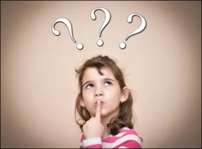 Quel type d'animal est ''Le Sphinx chauve-souris'' ?