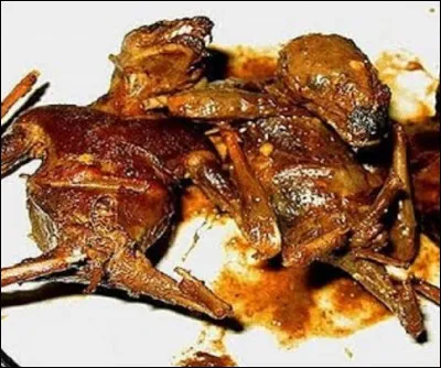 Quel nom donne-t-on à la viande de chauve-souris, source dalimentation humaine, principalement dans certains pays d'Afrique subsaharienne ?