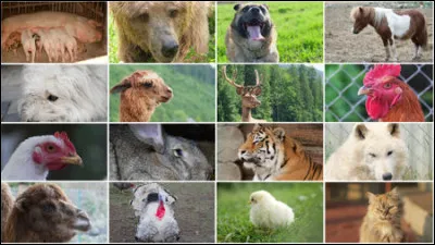 Est-ce qu'il est sur cette photo ?