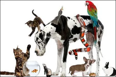 Et est-il sur celle-ci ?