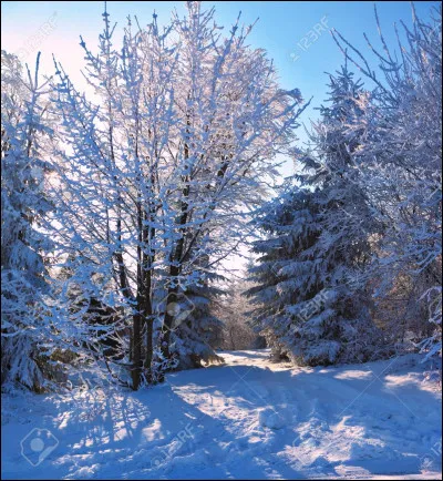Qu'est-ce que le syndrome de Lima ?