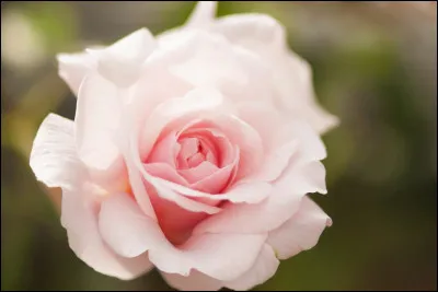 Qu'est-ce que le syndrome denfermement ?