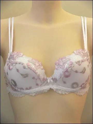 Quelle est la marque de ce sous-vtement ?