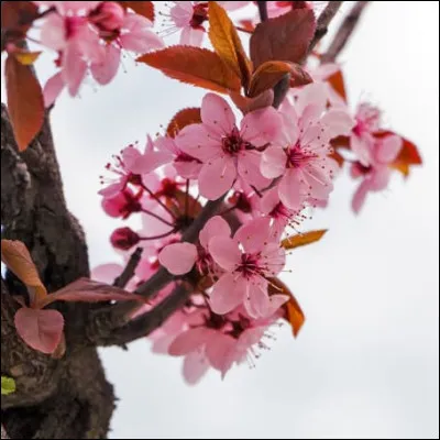 Que pensent tes ami(e)s de toi ?