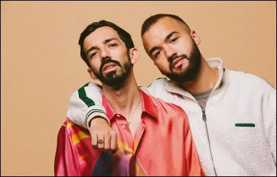 Quel est le lien de parenté entre Bigflo et Oli, duo français de rap ?