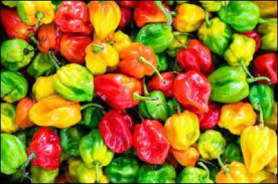 Sciences et Nature : Comment appelle-t-on l'échelle qui mesure l'intensité des piments ?