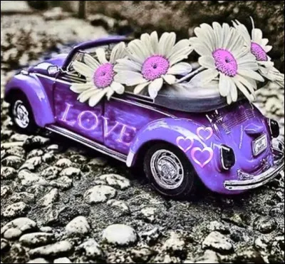 Quel animal a donné le surnom de cette voiture ?