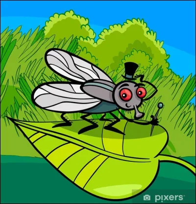 Si soudain on ne sait pourquoi, vous prenez la mouche, et vous ne médaillez plus aucun de mes quiz, que dire ?