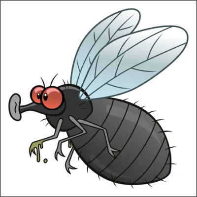 Si sur le forum, un membre vient parler sous prétexte de prêter main forte, mais n'apporte aucune réponse ni aucune aide à la discussion, que dire ?