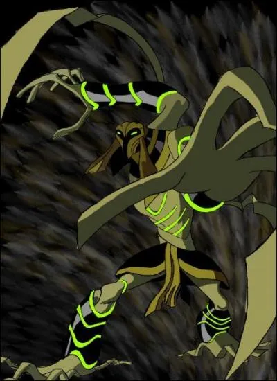 Quelle est sa plante ?