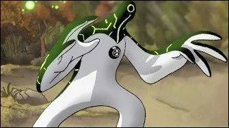 Quelle est sa plante ?