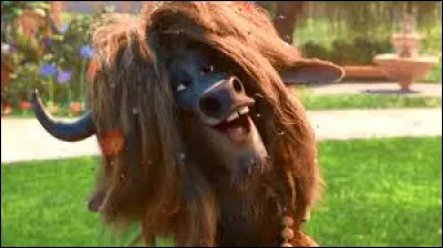 De quelle couleur sont les yeux de Judy ?