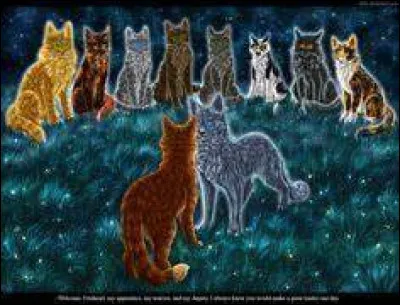 Tu es devenu chef de ton clan. Qui élis-tu lieutenant ?