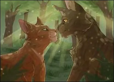 Tu tombes amoureux/amoureuse d'un(e) chat(te) d'un autre clan.
