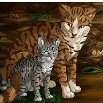 Tu es devenu le mentor de Nuage Bleu. Comment commences-tu l'entrainement ?