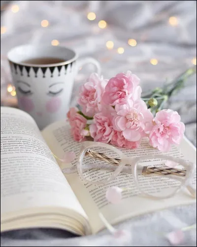 Pour qui Pierre de Ronsard écrivit-il un recueil de sonnets ?