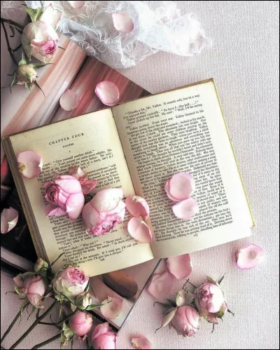 Quel était le prénom de l'époux de Madame Bovary ?