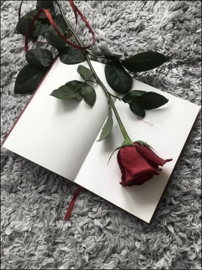 Dans le roman de Daniel Keyes, qui est Algernon ?