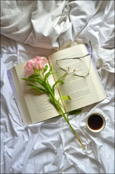 Dans quel livre rencontre-t-on Meursault ?