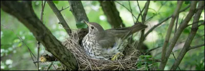 Obéissance à un supérieur ecclésiastique !