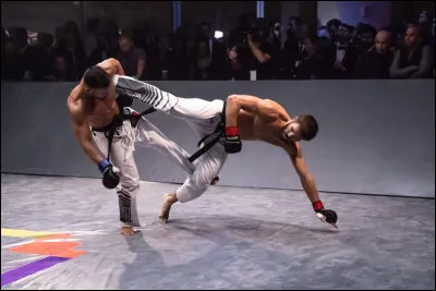 Qui sont les gens que tu détestes ?