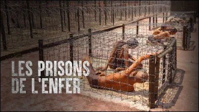 Durant ces longues années d'emprisonnement, Nelson Mandela fut détenu dans plusieurs prisons. Sur laquelle de ces îles se trouve la prison où il a passé 18 ans ?