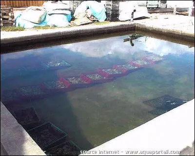 Le livre de 1978 "la vie n'est pas un roman" est de...