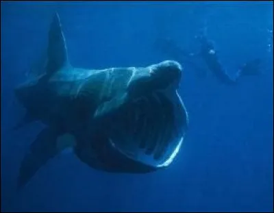 La bande dessinée de Ben Hatke sortie en 2018 c'est...