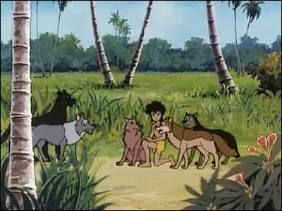 Dans le livre de Rudyard Kipling, qui est recueilli par des loups ?